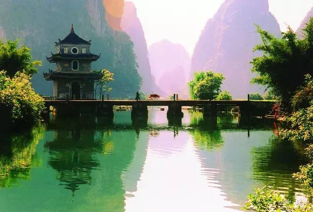 广西盛会，领导嘉宾共聚一堂